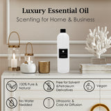 ENNOVA -CHAMPAGNE Essential Oil Scent | Luxury Hotel for Aromatherapy 17fl. oz.